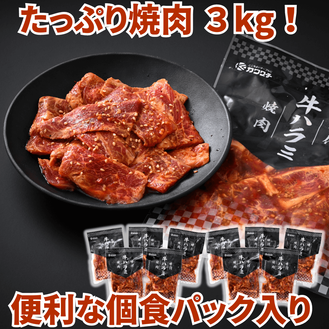 味付け 牛ハラミ 焼肉 3kg (小分け 200g ×15パック) BBQ 焼肉用 商品詳細画像
