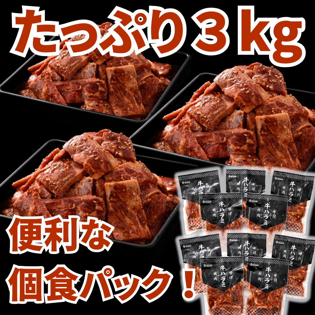 味付け 牛ハラミ 焼肉 3kg (小分け 200g ×15パック) BBQ 焼肉用 調理イメージ