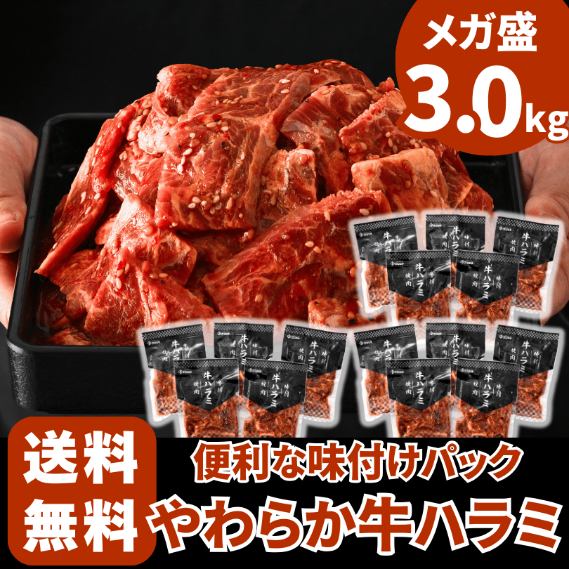 味付け 牛ハラミ 焼肉 3kg (小分け 200g ×15パック) BBQ 焼肉用 盛り付けイメージ