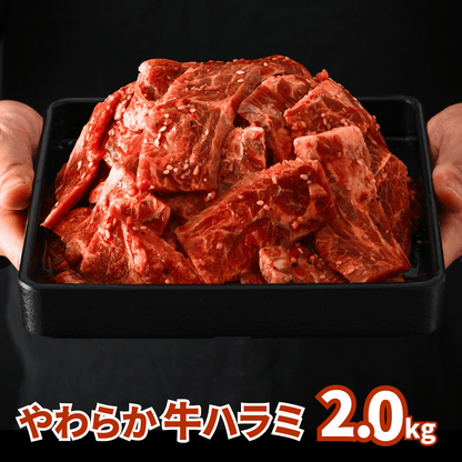 【お肉のお歳暮】味付け 牛ハラミ 焼肉 2kg (200g ×10パック)  | 肉のカワグチ公式通販・お取り寄せサイト