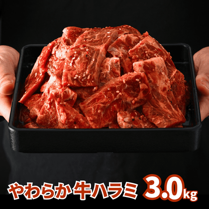 【お肉のお歳暮】味付け 牛ハラミ 焼肉 3kg (200g ×15パック)  | 肉のカワグチ公式通販・お取り寄せサイト