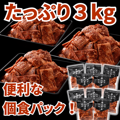 【敬老の日ギフト】味付け 牛ハラミ 焼肉 3kg (200g ×15パック)  | 肉のカワグチ公式通販・お取り寄せサイト - 肉のカワグチ